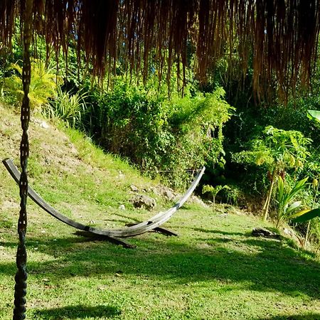 Cocotier, Elegant T3 Avec Jardin Tropical Lejlighed Sainte-Anne Eksteriør billede