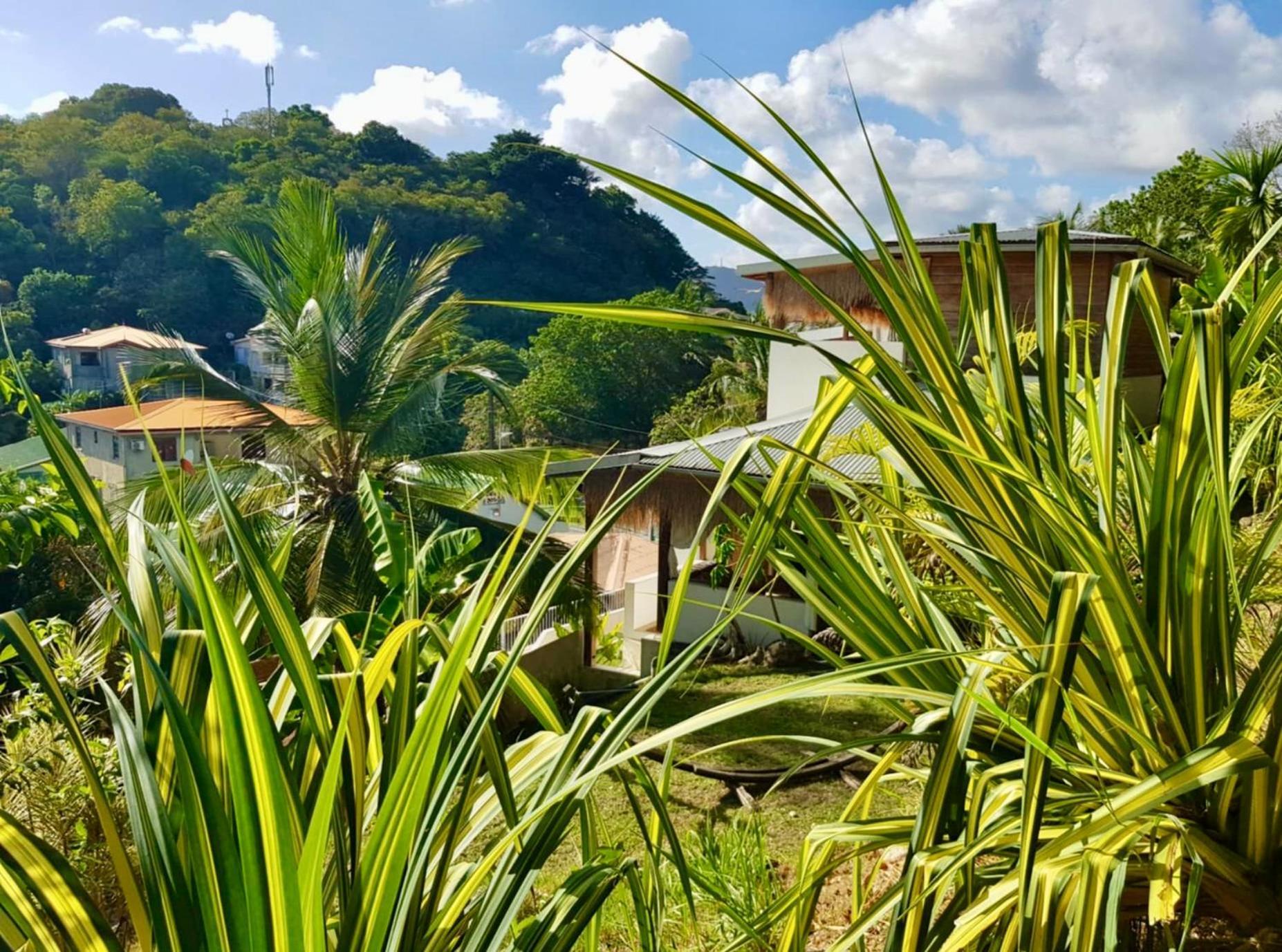 Cocotier, Elegant T3 Avec Jardin Tropical Lejlighed Sainte-Anne Eksteriør billede